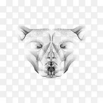 绘制单色摄影脸鼻子-凤头鹦鹉-空若网 绘制单色摄影脸鼻子-凤头鹦鹉-空若网