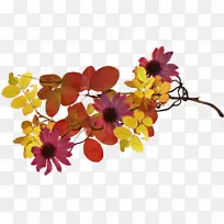 切花花型花瓣-50-空若网 切花花型花瓣-50-空若网