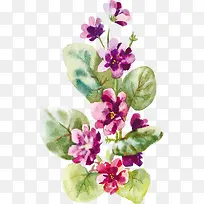 ˮ����ɫ�Ļ�-������