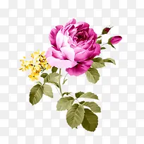 �ֻ���ɫ��-������