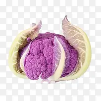 免抠蔬菜素材-空若网 免抠蔬菜素材-空若网