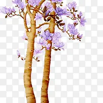 ����-������