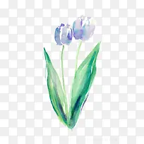 �ֻ滨-������