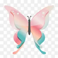 卡通蝴蝶PNG下载-空若网 卡通蝴蝶PNG下载-空若网