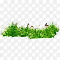 小草 蝴蝶 png免扣-空若网 小草 蝴蝶 png免扣-空若网