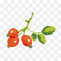 水彩果实图片-空若网 水彩果实图片-空若网