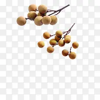 水果-空若网 水果-空若网