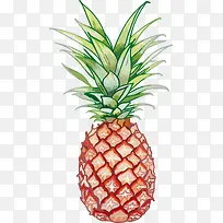 水果-空若网 水果-空若网