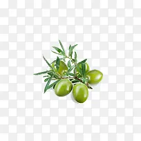 水果-空若网 水果-空若网