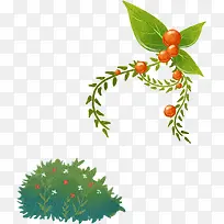 �ɰ��ֻ��ʵֲ��-������