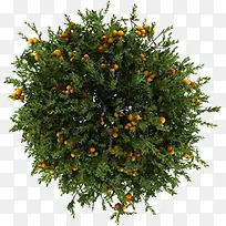 ������Ӱֲ���ʵ-������