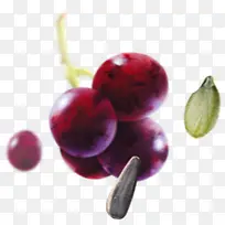 果实创意生鲜高清-空若网 果实创意生鲜高清-空若网