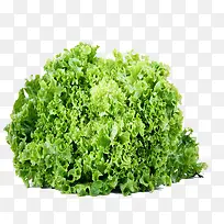 ��ɫ�˻�-������