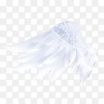 ·ÉÏèµÄ³á°ò-¿ÕÈôÍø ·ÉÏèµÄ³á°ò-¿ÕÈôÍø