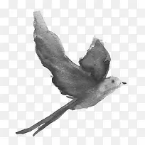 飞翔燕子-空若网 飞翔燕子-空若网