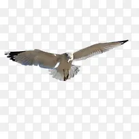 ����-������