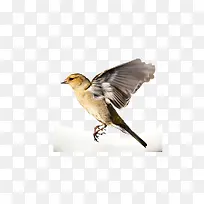 ����-������