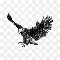 �������ӥ-������