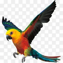 ���ķ�������Ŀɰ�����-������