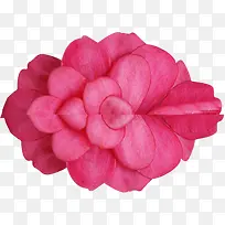 七夕创意红色花朵-空若网 七夕创意红色花朵-空若网