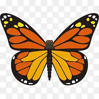 ��������ʸ���걾-������