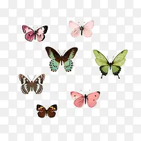 ����-������