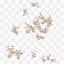 身形首饰-花朵花瓣-空若网 身形首饰-花朵花瓣-空若网