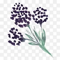 ˮ��ֲ��-������