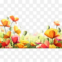 ˮ�ʿ���ܰ-������