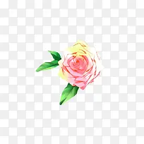 ����ˮ��õ�廨-������