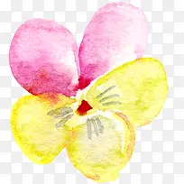 ���������ɫˮ�ʻ�-������