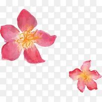 红色水彩花-空若网 红色水彩花-空若网