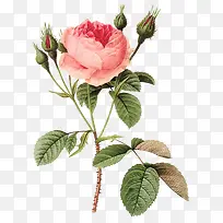 水彩花-空若网 水彩花-空若网