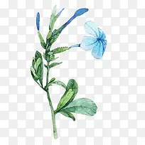 水彩花-空若网 水彩花-空若网