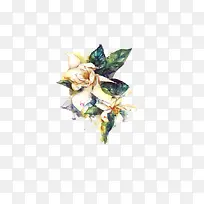 ˮ�ʻ�-������