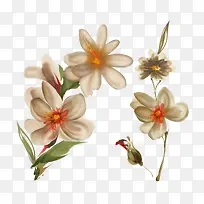 水彩花-空若网 水彩花-空若网