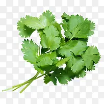 �߲������ɫ����-������