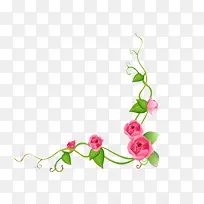 ���߿�-������