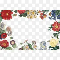 ���²�ɫ�߿򻨶�-������