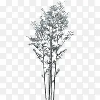 淡雅树枝节日装饰-空若网 淡雅树枝节日装饰-空若网