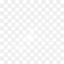 白色闪星-空若网 白色闪星-空若网