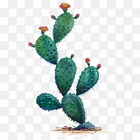 ��ɫֲ�������ƿ���2-������