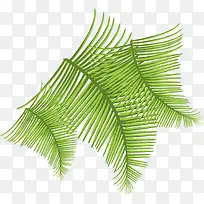 ����������ɫֲ����Ӱ-������