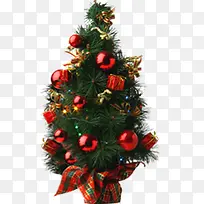 绿色植物彩色礼物-空若网 绿色植物彩色礼物-空若网