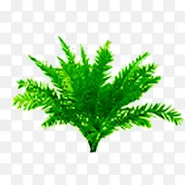 开放设计绿色植物-空若网 开放设计绿色植物-空若网