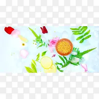 ��ɫֲ��ˮ���ݱ�ֲ�����-������