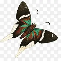 ��������װ��-������