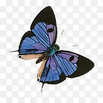 �������-������