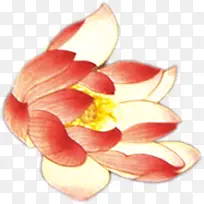 高清立体摄影手绘莲花-空若网 高清立体摄影手绘莲花-空若网