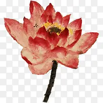 手绘红色水彩莲花-空若网 手绘红色水彩莲花-空若网
